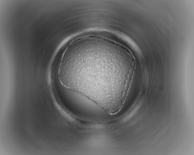 X0000113330958200909281225