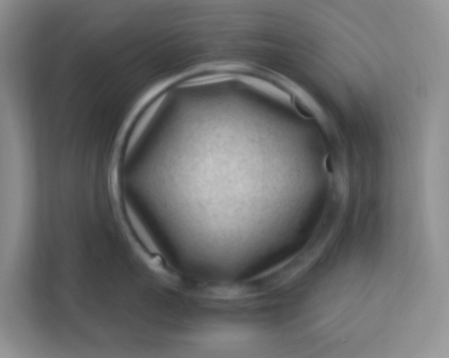 X0000113330959200909281225