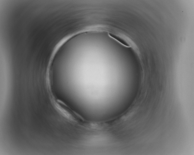 X0000113330960200909281225