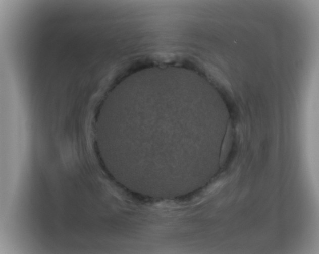 X0000113330961200909281224