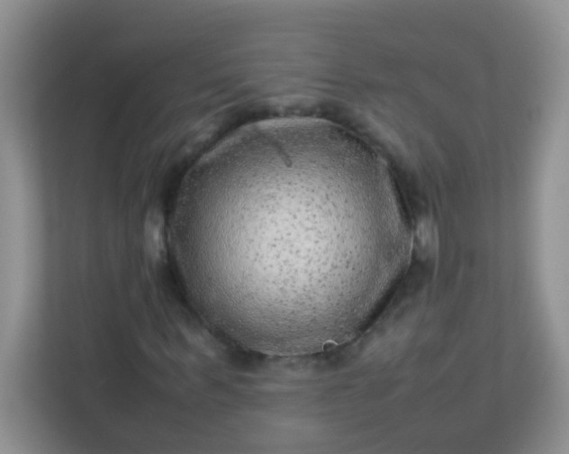 X0000113330963200909281224