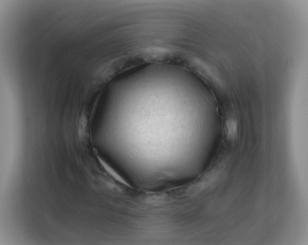 X0000113330964200909281224