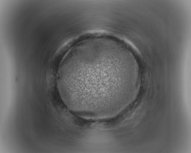 X0000113330967200909281224