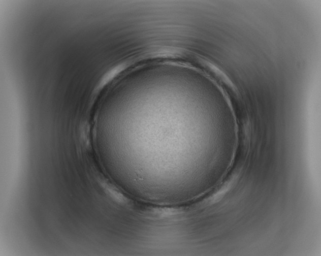 X0000113330970200909281224