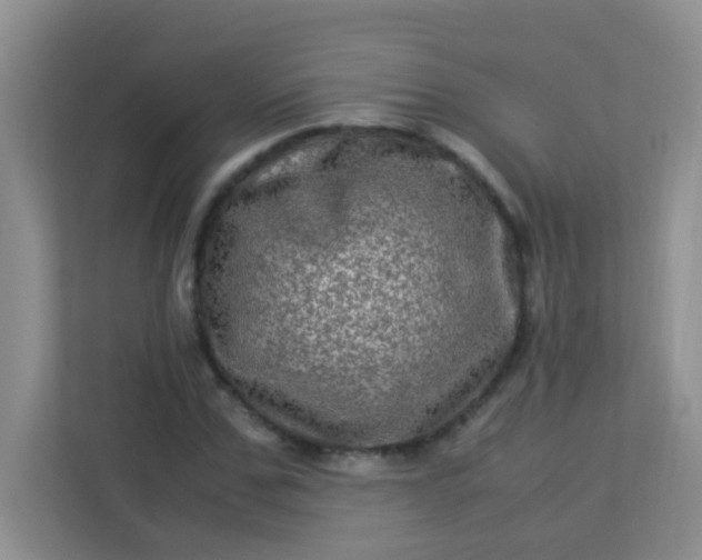 X0000113330971200909281224