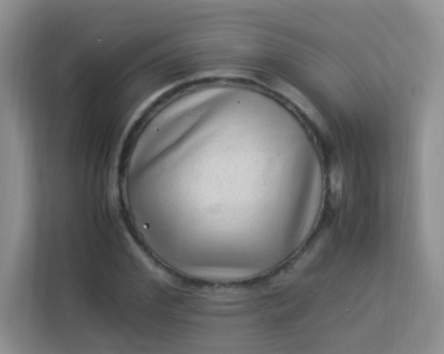 X0000113330972200909281224