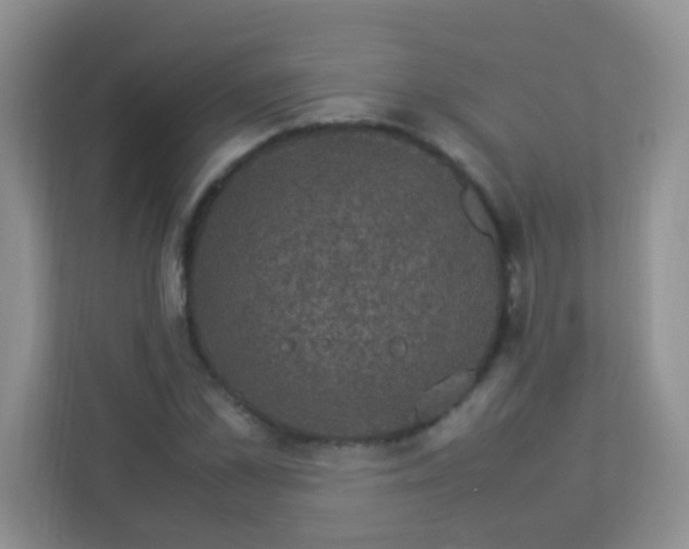 X0000113330973200909281224