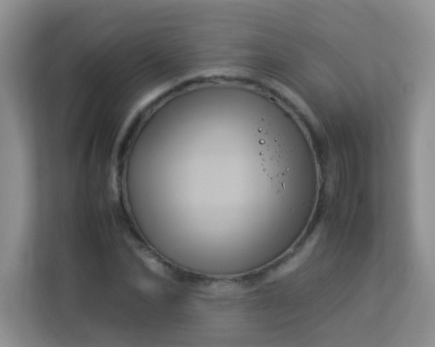 X0000113330974200909281224