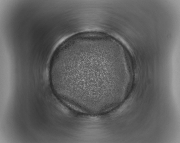 X0000113330975200909281224