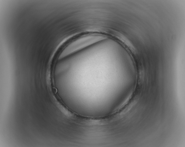 X0000113330976200909281224
