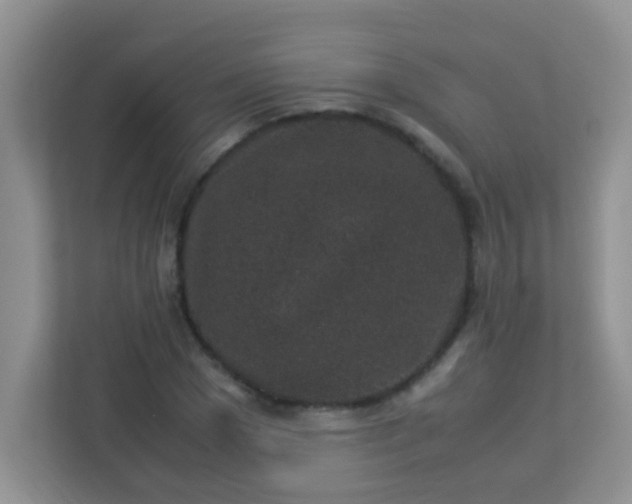 X0000113330977200909281224