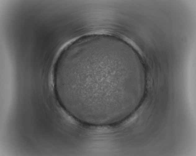 X0000113330979200909281224