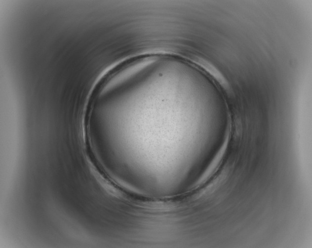 X0000113330980200909281224