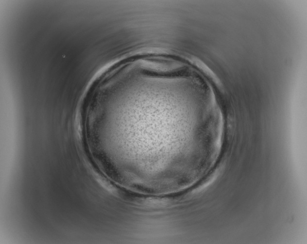 X0000113330981200909281224