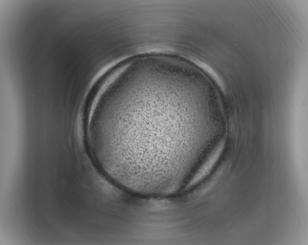 X0000113330983200909281224