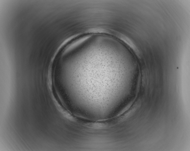 X0000113330984200909281224