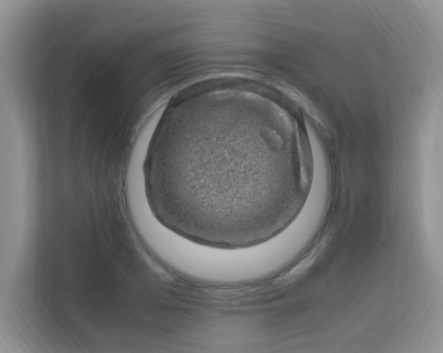 X0000113330985200909281224