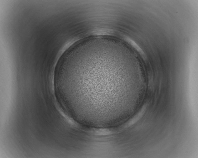 X0000113330986200909281224