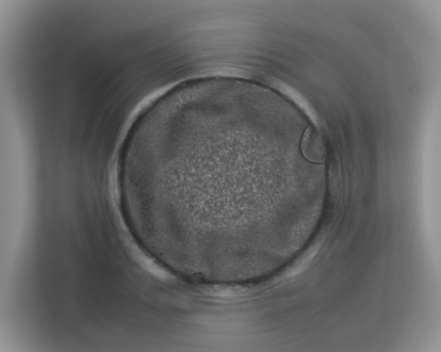 X0000113330987200909281224