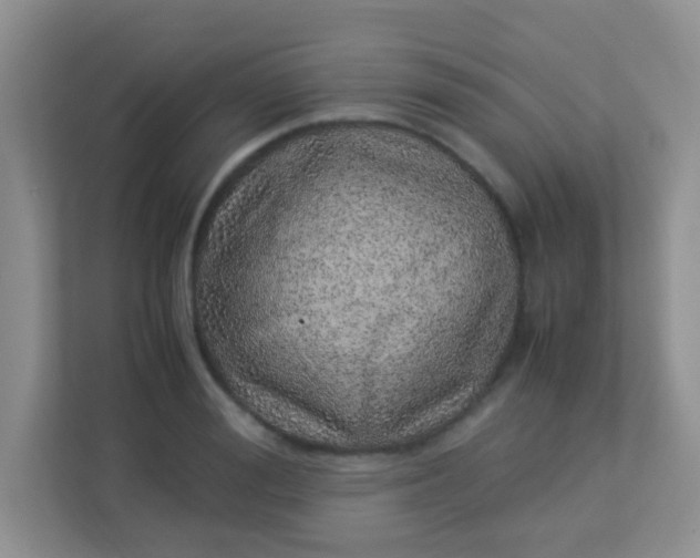 X0000113330988200909281224