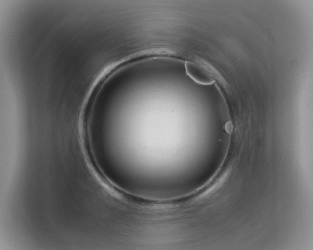 X0000113330989200909281224