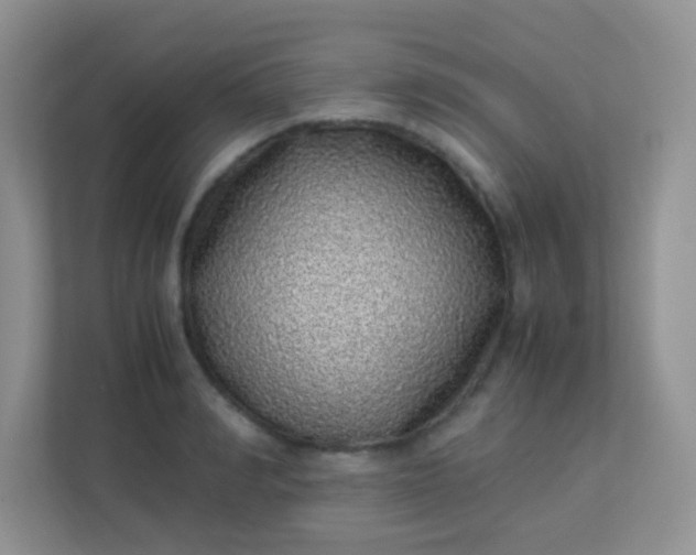 X0000113330990200909281224
