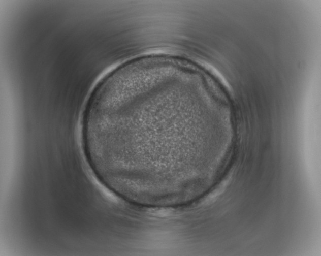 X0000113330991200909281224