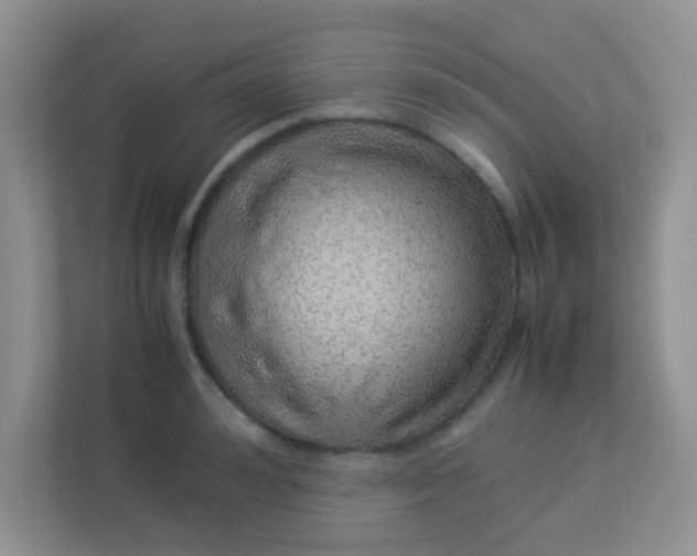 X0000113330992200909281224