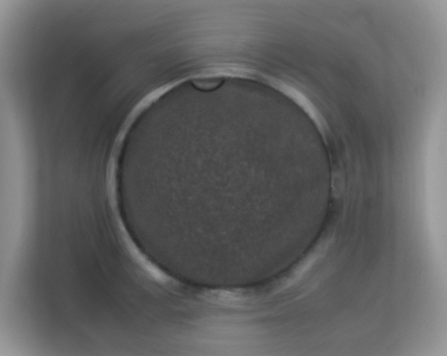 X0000113330995200909281224
