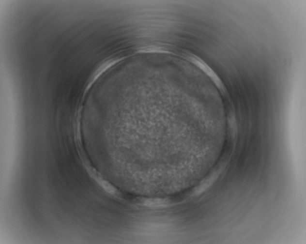 X0000113331002200909281224