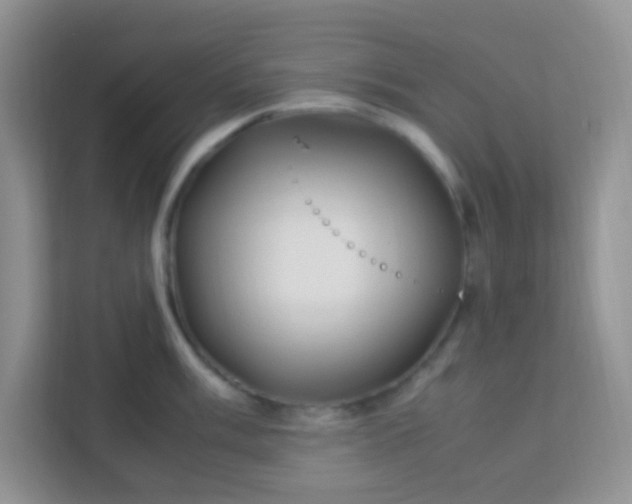 X0000113331003200909281224