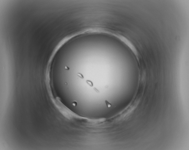 X0000113331005200909281224