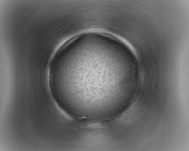 X0000113331006200909281224