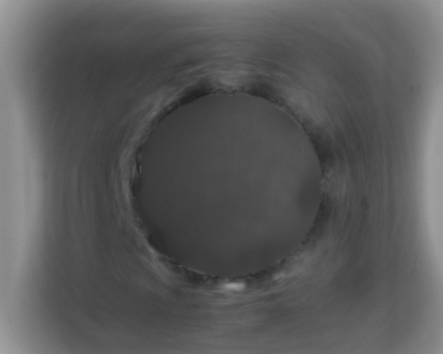 X0000113331009200909281223