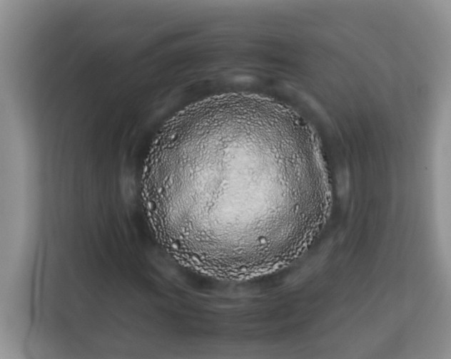 X0000113331011200909281223