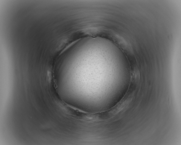 X0000113331012200909281223