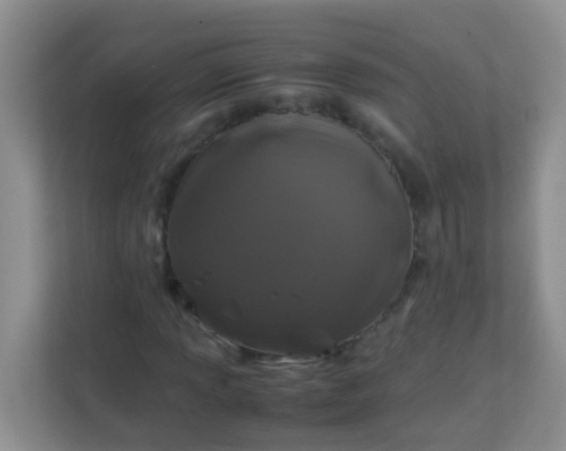X0000113331013200909281223