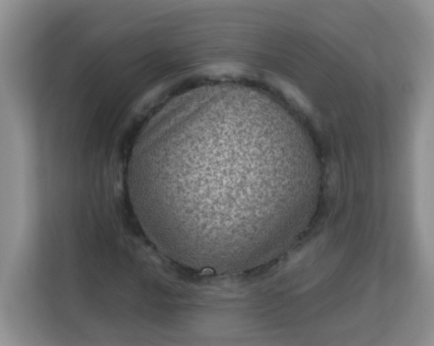 X0000113331016200909281223