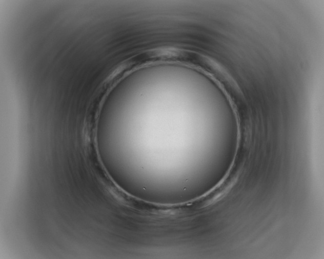 X0000113331017200909281223