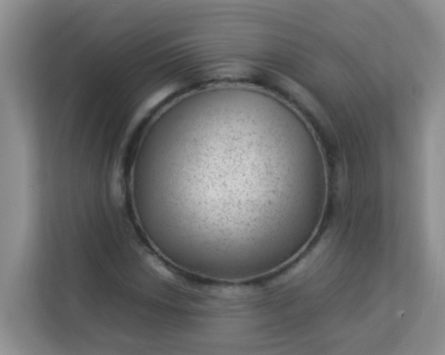X0000113331018200909281223