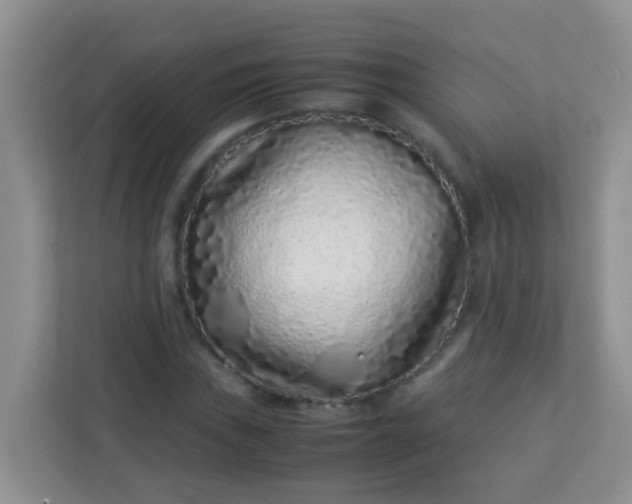 X0000113331019200909281223