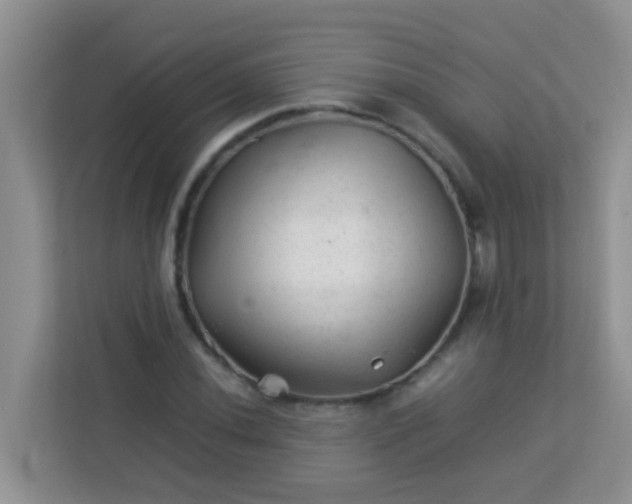 X0000113331020200909281223