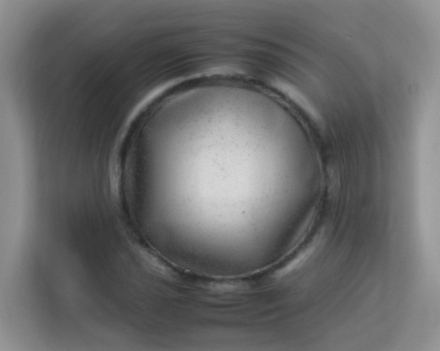 X0000113331021200909281223