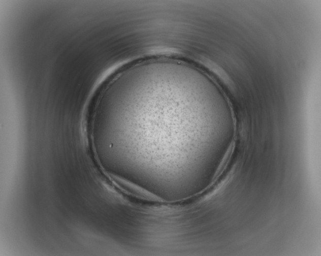 X0000113331022200909281223