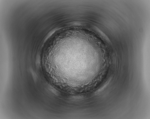 X0000113331023200909281223