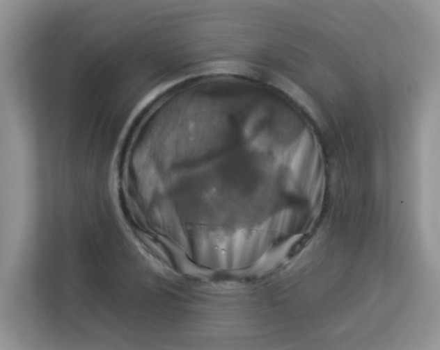 X0000113331024200909281223