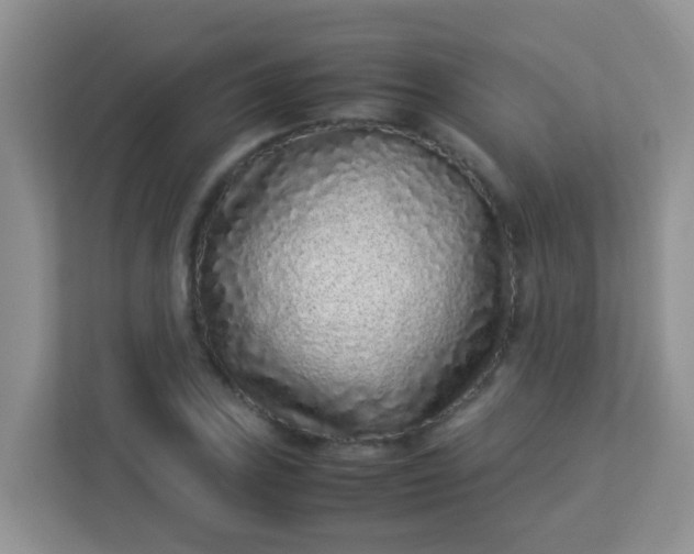 X0000113331027200909281223