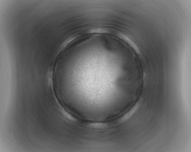 X0000113331033200909281223