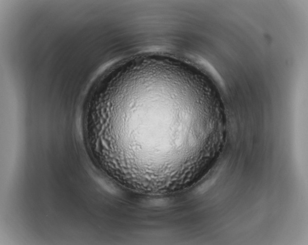 X0000113331035200909281223