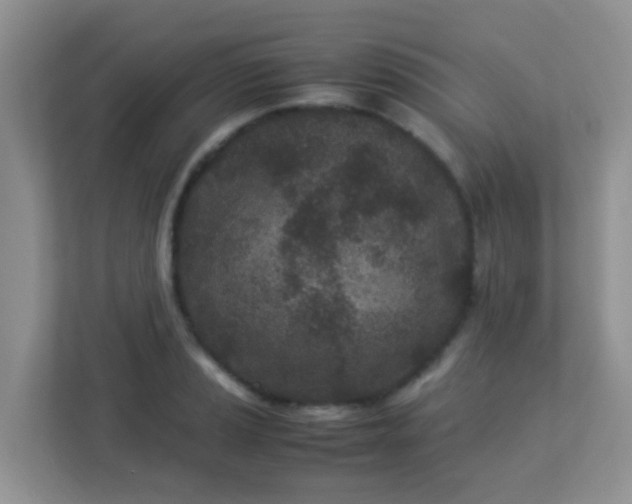 X0000113331037200909281223